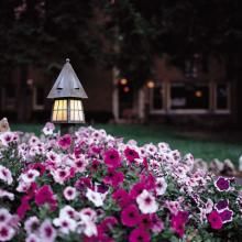 European Country™ Landscape Lighting in Beautiful Flowerbed